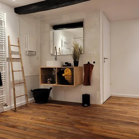 Jacuzzi Des Tanneurs Apartment Ribeauville  Exterior photo